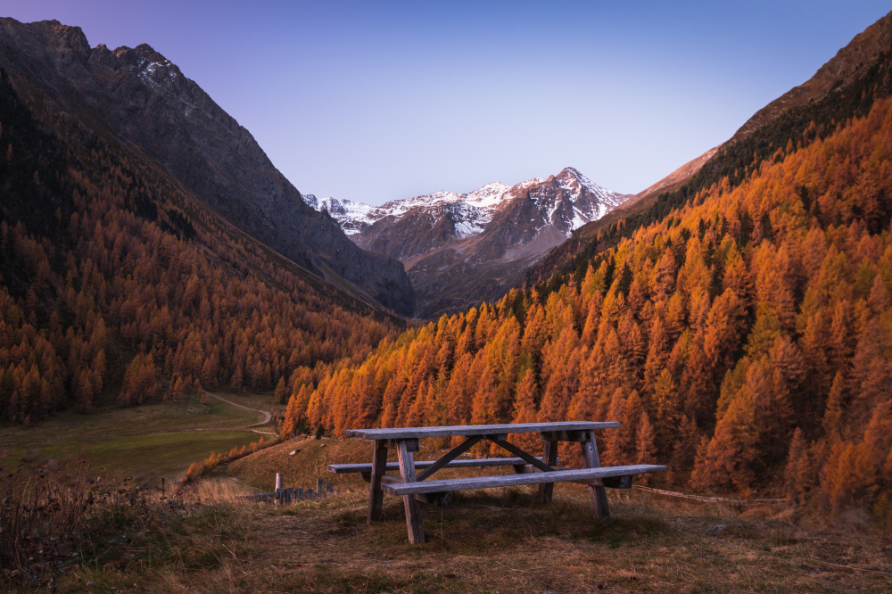 Existential Anxiety Treatment Specialist: Role, Approaches, and Importance