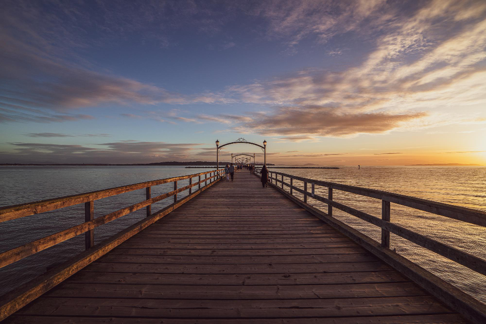 The Role, Approaches, and Importance of Learning Disability Treatment Specialist
