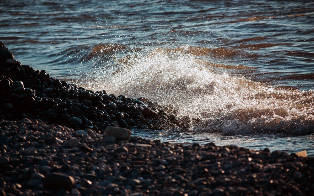 Health Anxiety Treatment Specialists: The Role, Significance, and Treatment Approaches